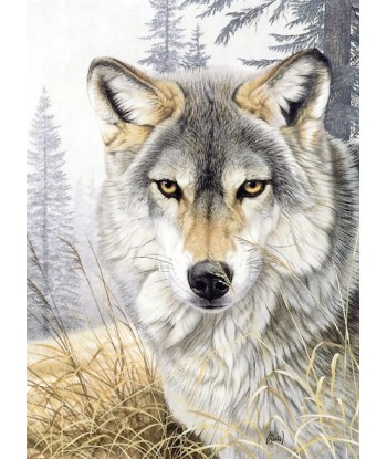 Broderie Diamant  Loup Dessin l'achat 