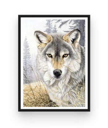 Broderie Diamant  Loup Dessin l'achat 