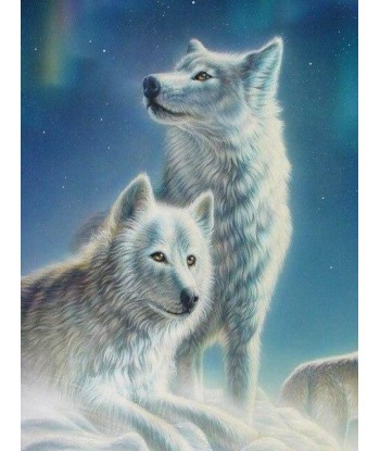 Broderie Diamant  Couple de Loups Blancs Les êtres humains sont 