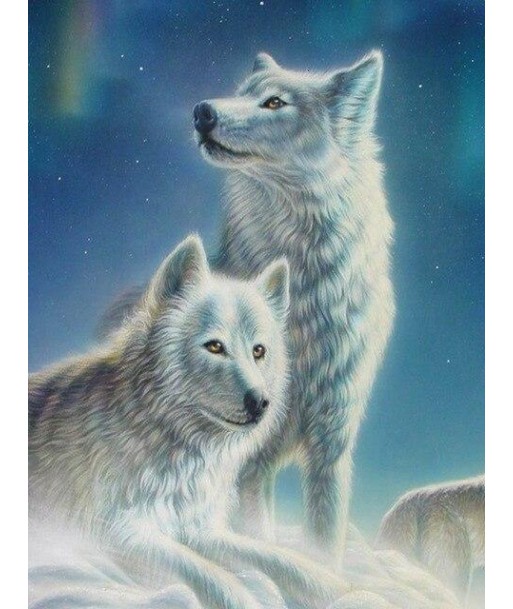 Broderie Diamant  Couple de Loups Blancs Les êtres humains sont 