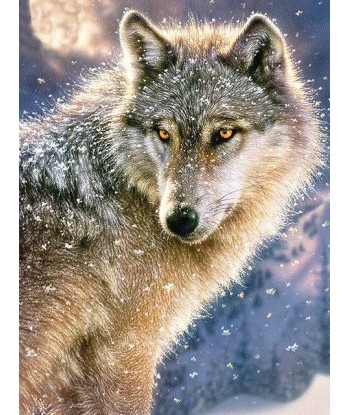 Broderie Diamant  Loup et Neige Pour