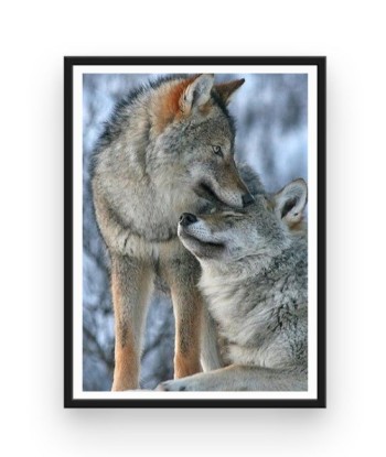 Broderie Diamant  Couple de Loups Economisez 