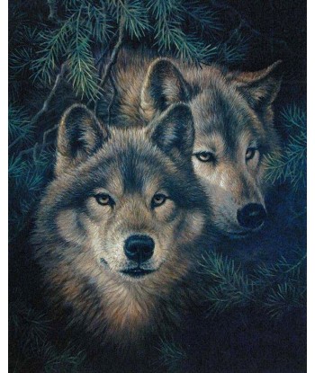 Broderie Diamant  Couple de Loups Alpha l'achat 