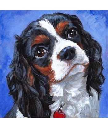 Broderie Diamant  Cavalier King Charles paiement sécurisé