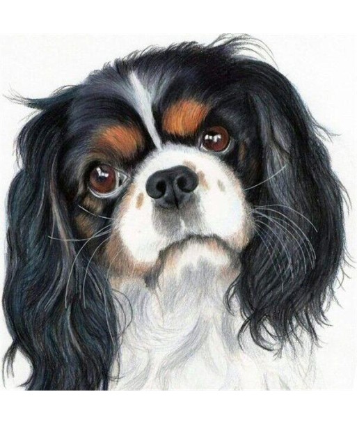 Broderie Diamant  Cavalier King Charles Peinture À commander