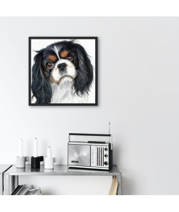 Broderie Diamant  Cavalier King Charles Peinture À commander