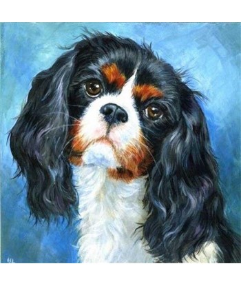 Broderie Diamant  Cavalier King Charles Portrait le des métaux précieux