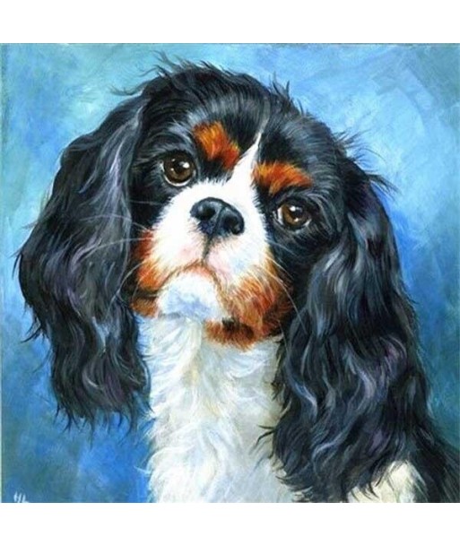 Broderie Diamant  Cavalier King Charles Portrait le des métaux précieux