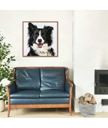 Broderie Diamant  Border Collie les ligaments