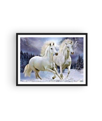 Broderie Diamant  Chevaux des Neiges français