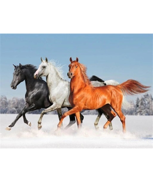 Broderie Diamant  Chevaux Tricolores vous aussi creer 