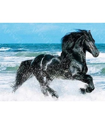 Broderie Diamant  Cheval Noir Sauvage Pour