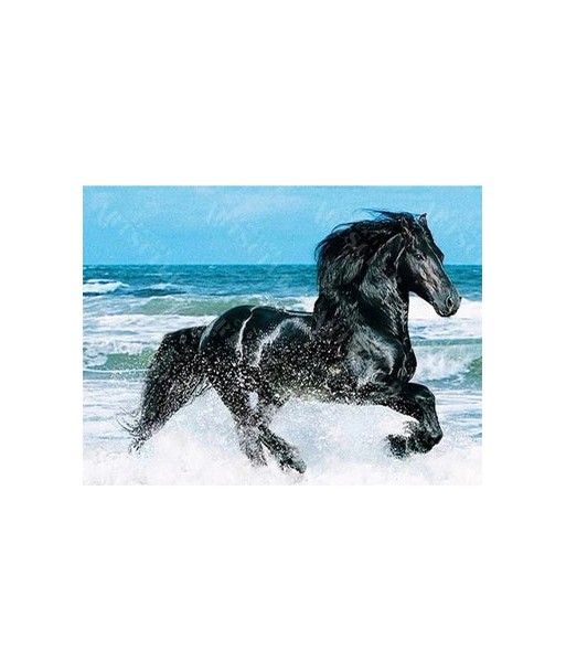 Broderie Diamant  Cheval Noir Sauvage Pour