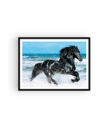 Broderie Diamant  Cheval Noir Sauvage Pour