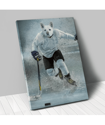 Hockey sur Glace vous aussi creer 