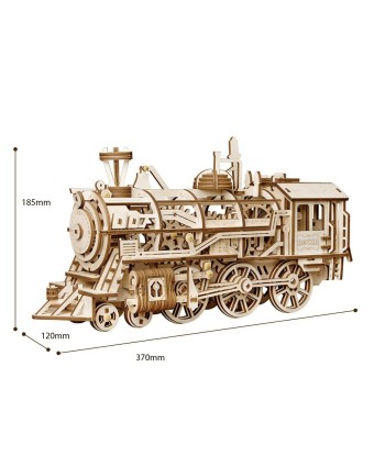 La Locomotive Fonctionnelle france